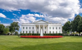 【アメリカ】トランプ大統領、山火事対策強化指示。バイオマス発電促進や人工衛星も