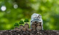 【国際】TNFDやUNDP、保険業界向け自然資本リスク理解プログラム「NATURE-INSURE」設立