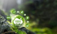 【国際】Verra、カーボンインセット基準S3Sを2025年末までに発行へ。2026年に制度本格稼働