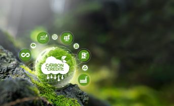 【国際】Verra、カーボンインセット基準S3Sを2025年末までに発行へ。2026年に制度本格稼働