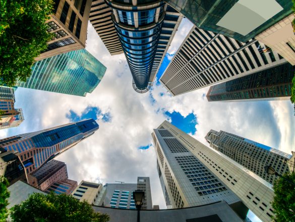 【シンガポール】大手銀行3行、自然資本の貸付先リスク分析開始。まずはパーム油