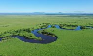 【環境】大規模太陽光発電と環境アセスメント　〜日本エコロジーの釧路湿原メガソーラー事案〜