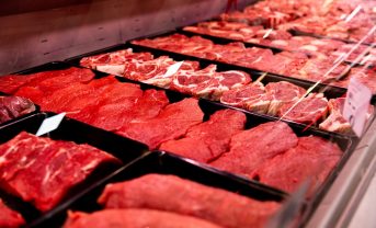 【国際】FAO、世界食料価格指数、植物油と肉類が上昇。乳製品も高止まり