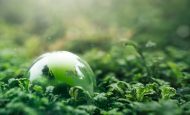 【国際】ICVCMとSHIFT CM、NbSカーボンクレジットの方法論強化で提携。科学的研究