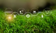 【国際】OECD、各国での生物多様性インセンティブ強化で10の提言。昆明・モントリオール目標18