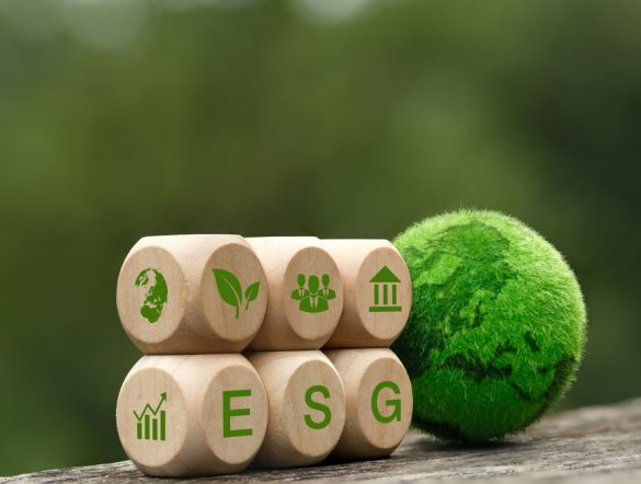 【日本】「ESG投資は日本で追い風」。FTSE Russellとシンガポール証券取引所が分析