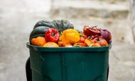 【日本】消費者庁、食品ロスによる経済損失4兆円。GHGは冷房由来上回る。2023年度
