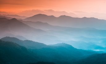 【インド】TNFDとインドBSRS制度、開示の整合性高い。TNFDやインド産業連盟合同ガイダンス