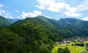 【日本】外国人等による森林取得、2006年以降で私有林の0.07%。増加傾向みられず。林野庁