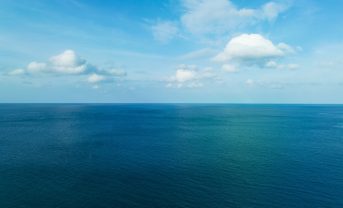 【国際】国連公海等生物多様性協定（BBNJ協定）、発効。60カ国の批准条件満たす