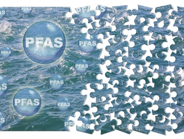 【EU】欧州化学品庁、PFASの科学的評価を2段階に分割。14品目を先行。REACH規則