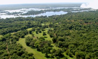【国際】Verra、Kariba REDD+プロジェクトのカーボン会計検証結果発表。大量に無効化