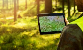 【日本】ヤマ発、王子HD等とリモートセンシング技術で森林資源を可視化。林業DX