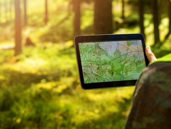 【日本】ヤマ発、王子HD等とリモートセンシング技術で森林資源を可視化。林業DX