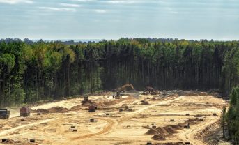 【国際】UNEP、初の「森林ファイナンスの現状」報告書。33兆円の資金ギャップ。認証農作物も