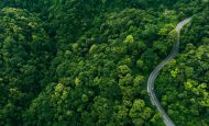 【国際】FSC、No FSC Sales宣言の公開を2026年1月1日から開始。不正販売抑止