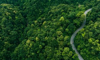 【国際】FSC、No FSC Sales宣言の公開を2026年1月1日から開始。不正販売抑止
