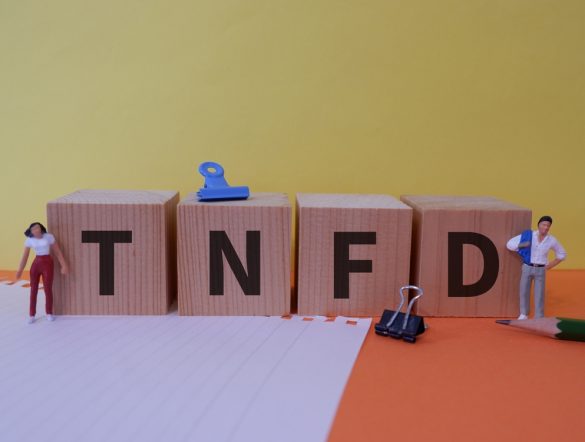 【国際】TNFD、アダプターが620社突破。証券取引所向けガイダンス発行も。中小向けアワード開始