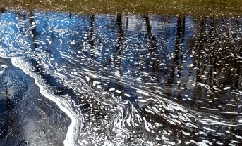 【EU】EU理事会と欧州議会、地表水・地下水水質改善でEU指令改正案に政治的合意。PFAS、農薬等