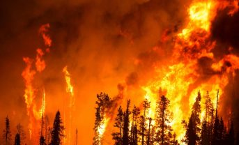 【アメリカ】カリフォルニア州知事、山火事対策強化の州知事令署名。リスク評価や保険等の対策検討
