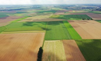 【EU】欧州委、共通農業政策で2028年からの枠組案公表。気候変動・生態系で補助金ルール改革