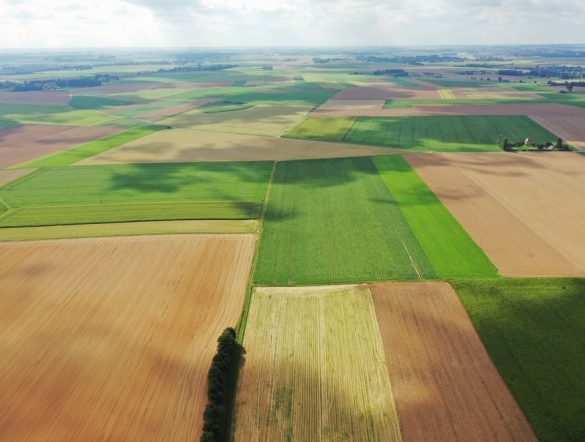 【EU】欧州委、共通農業政策で2028年からの枠組案公表。気候変動・生態系で補助金ルール改革