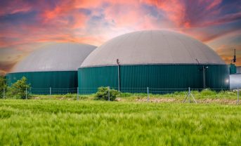 【国際】クリーンエネルギー大臣会合28カ国、バイオ・炭素再生素材活用促進で宣言。COP30