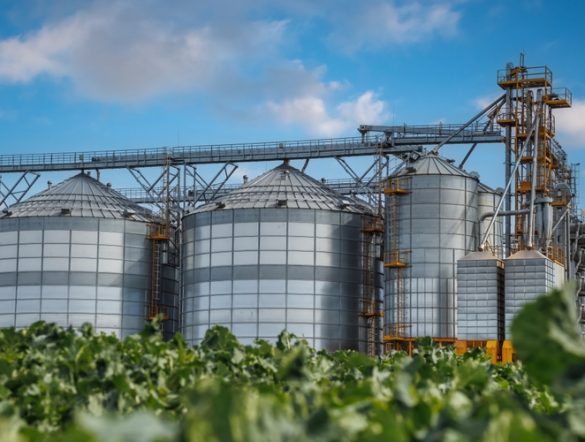 【EU】欧州委、バイオエコノミー戦略2025発表。1.8兆円の共同購入制度創設も