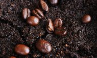 【日本】コカ・コーラ、茶・コーヒーのかすをバイオエネルギー利用。湿式ケミカルルーピング