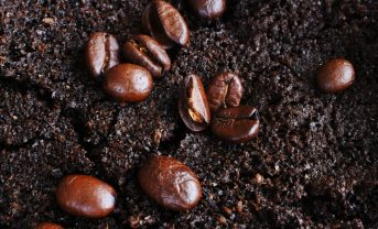 【日本】コカ・コーラ、茶・コーヒーのかすをバイオエネルギー利用。湿式ケミカルルーピング