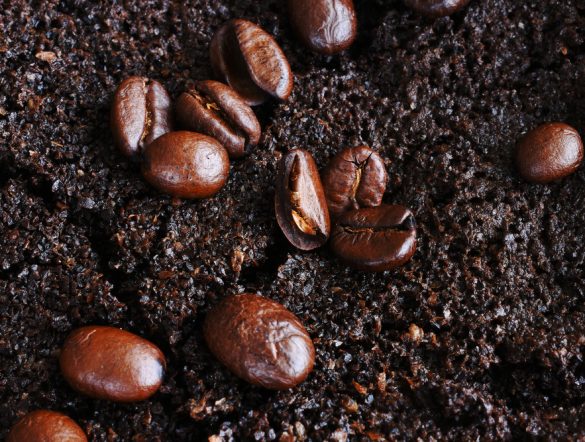 【日本】コカ・コーラ、茶・コーヒーのかすをバイオエネルギー利用。湿式ケミカルルーピング