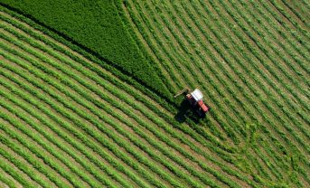 【国際】ICVCM、持続可能な農業で2件をカテゴリー承認。CCPラベル