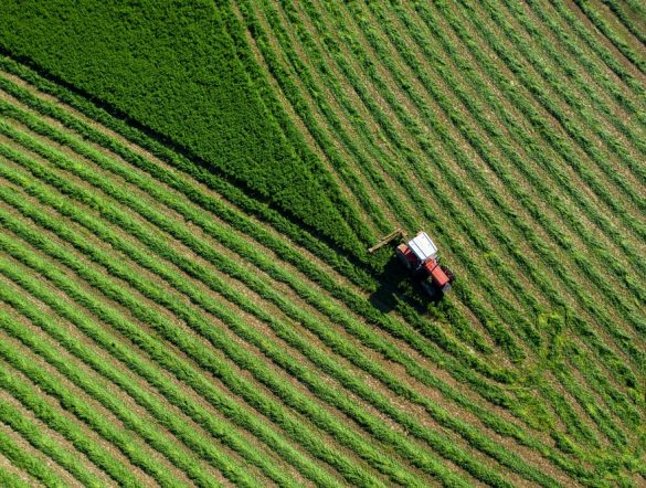 【国際】ICVCM、持続可能な農業で2件をカテゴリー承認。CCPラベル