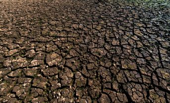 【国際】FAO、人為的な土地劣化で17億人の食糧安全保障リスク発生。土地回復を各国に要請