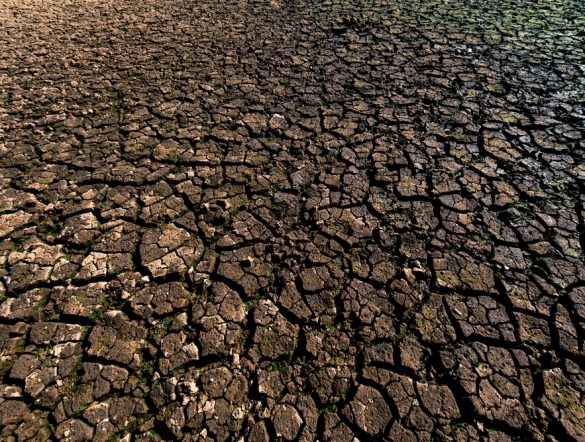 【国際】FAO、人為的な土地劣化で17億人の食糧安全保障リスク発生。土地回復を各国に要請