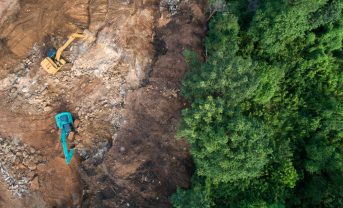 【EU】EU理事会、EUDR簡素案で方針採択。零細・小規模事業者は2027年6月30日から