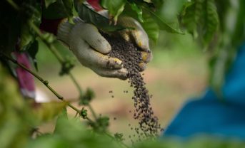 【国際】WBCSD、農業と不動産でバリューチェーン脱炭素化実証2026年開始。参加企業も