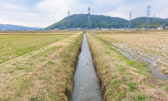 【日本】IHI、「配水支援ツール」公開。農地配水量の過不足を可視化。農業用水管理効率向上