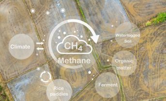 【国際】中英ブラジル、メタンサミット開催。メタン等削減アクション強化。2500万米ドル