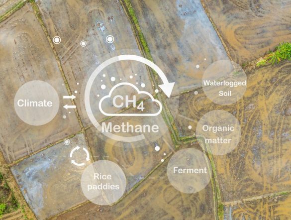 【国際】中英ブラジル、メタンサミット開催。メタン等削減アクション強化。2500万米ドル