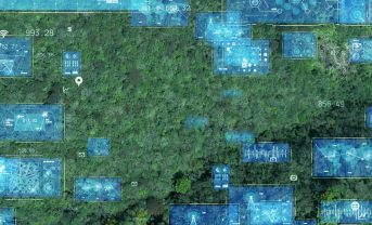 【国際】TNFD、自然データベース構築構想で大きな進展。ビジネスモデルと運営方式案発表