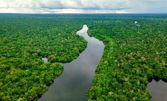 【国際】気候サミット、熱帯林永久基金（TFFF）発足。53カ国賛同。投資収益で熱帯雨林国に寄付