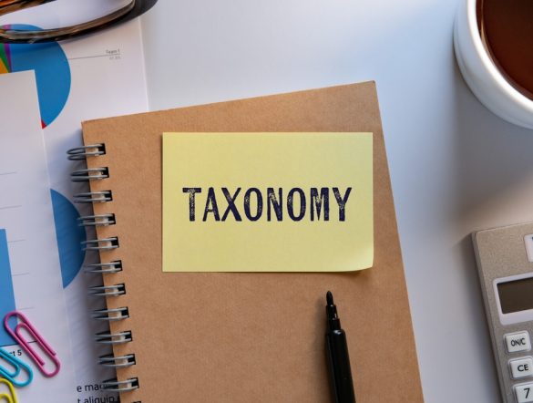 【国際】サステナブルファイナンスでの生物多様性やトランジションファイナンスの位置づけで前進。IPSF