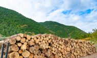【日本】木材需給表2024、燃料用途が増え需要2.5%増。木材自給率は42.5%