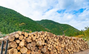 【日本】木材需給表2024、燃料用途が増え需要2.5%増。木材自給率は42.5%