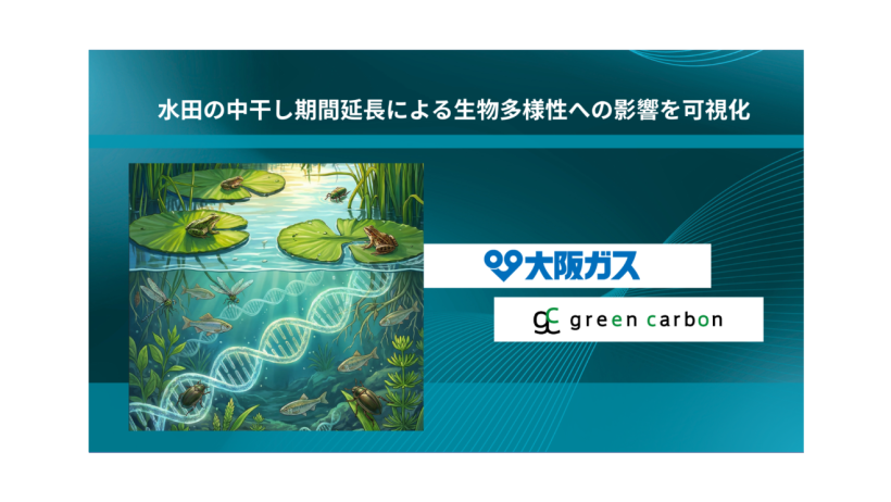 【日本】Green Carbonと大阪ガス、水田の中干し期間延長の生物多様性影響可視化。国内初 2 【日本】Green Carbonと大阪ガス、水田の中干し期間延長の生物多様性影響可視化。国内初 2