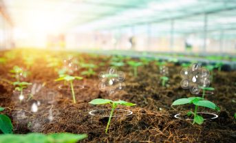 【日本】農水省、2025年農業技術10大ニュース選定。気候変動緩和・適応、鳥獣対策、自動化等