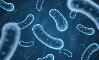 【アメリカ】コルテバとHexagon Bio、次世代作物保護開発で合弁設立。バイオ自然重視型