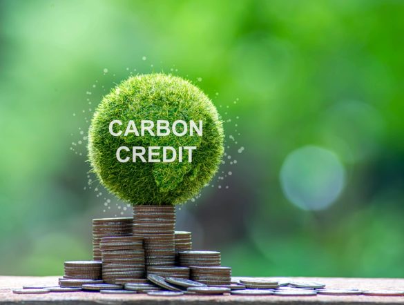 【国際】Verra、カーボンインセット基準S3Sの完成間近。2026年中にクレジット発行開始へ