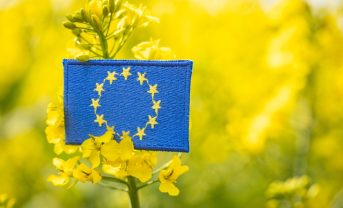 【EU】共通農業政策改革で改正EU規則成立。生態系要件強化。農家の申請手続負荷は軽減